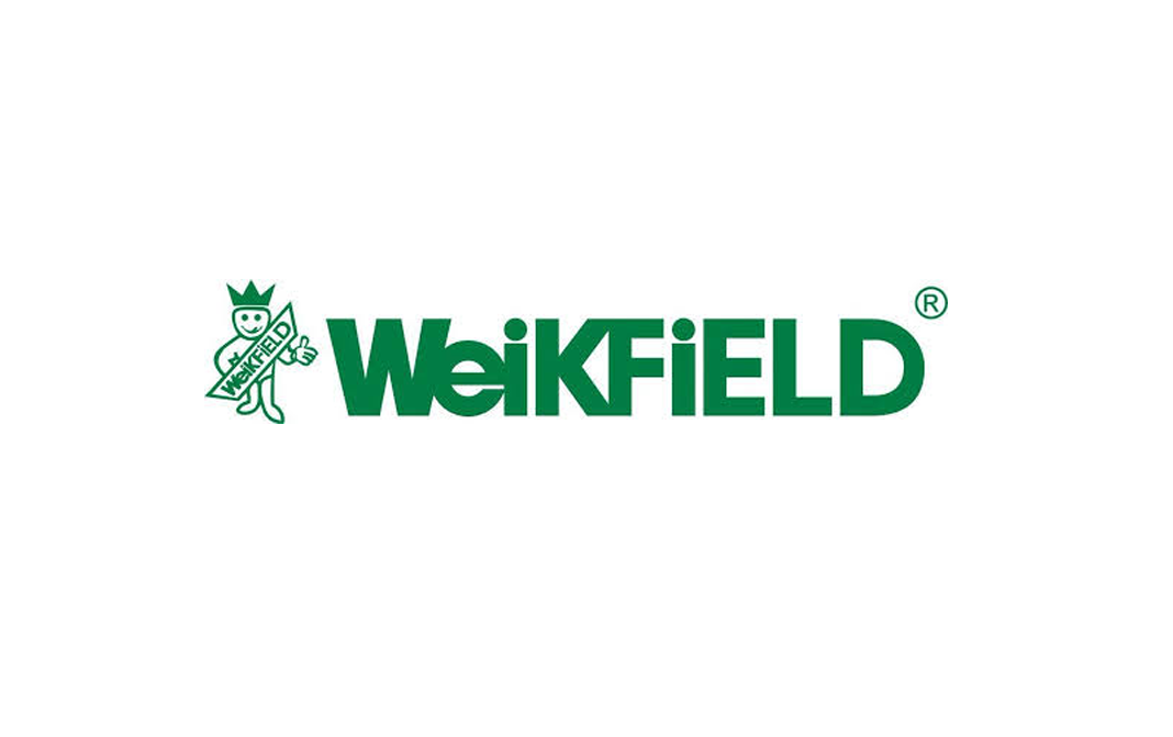 Weikfield Icing Sugar    Box  100 grams